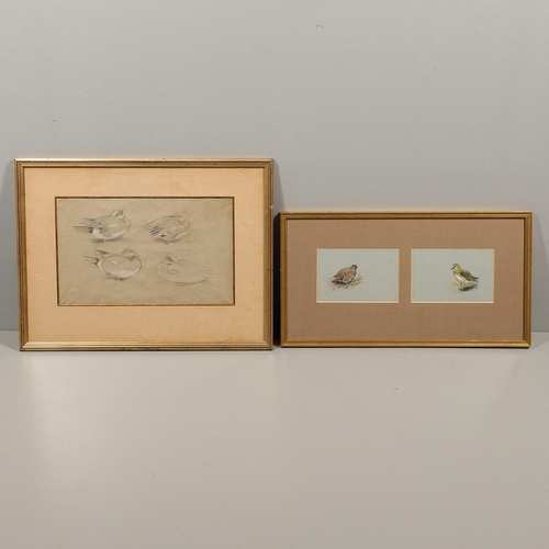 361 - GEORGE EDWARD LODGE (1860-1954). PARTRIDGE; GOLDEN PLOVER. (d) Two, each signed with initials, water... 