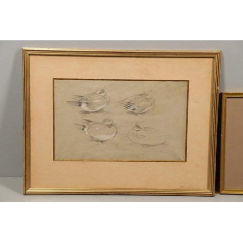 361 - GEORGE EDWARD LODGE (1860-1954). PARTRIDGE; GOLDEN PLOVER. (d) Two, each signed with initials, water... 