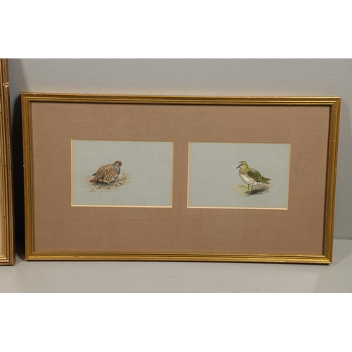361 - GEORGE EDWARD LODGE (1860-1954). PARTRIDGE; GOLDEN PLOVER. (d) Two, each signed with initials, water... 