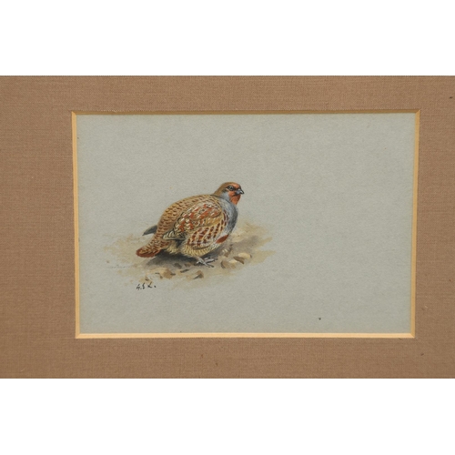 361 - GEORGE EDWARD LODGE (1860-1954). PARTRIDGE; GOLDEN PLOVER. (d) Two, each signed with initials, water... 