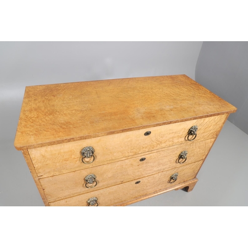 502 - A 19TH CENTURY BIRD'S EYE MAPLE CHEST OF DRAWERS. Circa 1880, fitted three long drawers with lions m... 