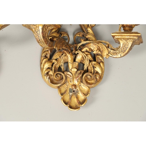 517 - A SET OF FOUR 19TH CENTURY GILT GESSO TWIN BRANCH WALL LIGHTS. with carved shell to crest and base t... 