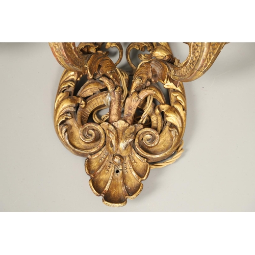 517 - A SET OF FOUR 19TH CENTURY GILT GESSO TWIN BRANCH WALL LIGHTS. with carved shell to crest and base t... 