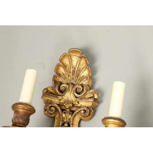 517 - A SET OF FOUR 19TH CENTURY GILT GESSO TWIN BRANCH WALL LIGHTS. with carved shell to crest and base t... 