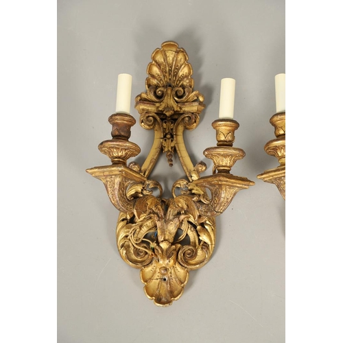 517 - A SET OF FOUR 19TH CENTURY GILT GESSO TWIN BRANCH WALL LIGHTS. with carved shell to crest and base t... 