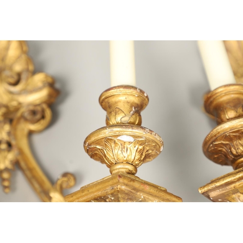 517 - A SET OF FOUR 19TH CENTURY GILT GESSO TWIN BRANCH WALL LIGHTS. with carved shell to crest and base t... 