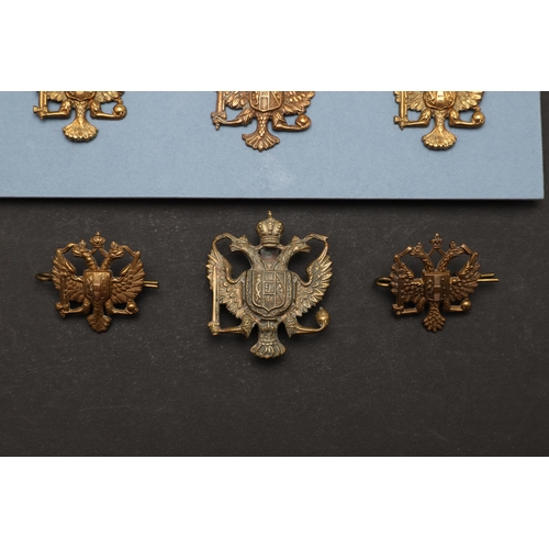 193 - AN INTERESTING COLLECTION OF 1ST KING'S DRAGOON GUARDS CAP AND COLLAR BADGES. A collection of 1st Ki... 