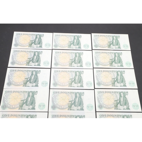 604 - A COLLECTION OF 23 SERIES D ONE POUND NOTES TO INCLUDE CONSECUTIVE RUNS. A collection of Series 'D' ... 