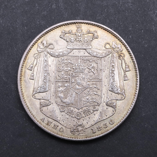 627 - A WILLIAM IV HALFCROWN, 1836. A William IV Halfcrown, bare head r. Reverse shield on mantle, dated 1... 