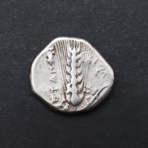 654 - GREEK COINS: METAPONTION, SILVER STATER, 330 - 300 BC. Silver Stater, Metapontion, Italy. Obverse wi... 