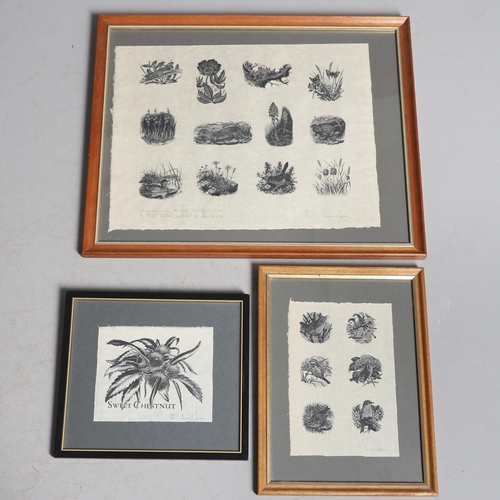 Lot 20        
