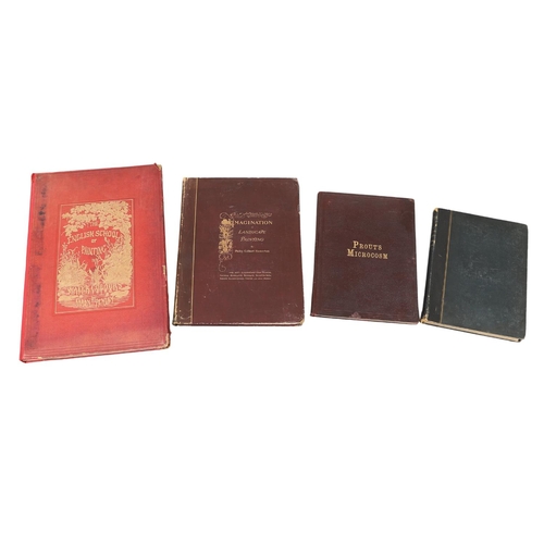 Lot 26        