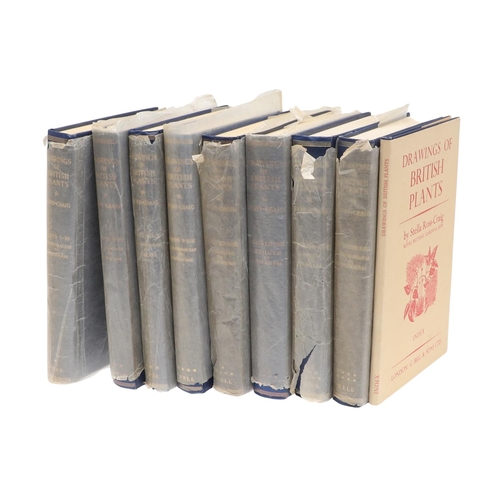 Lot 28        