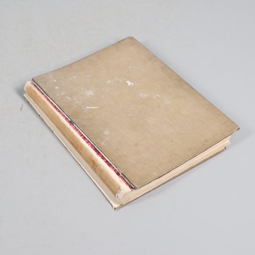 Lot 53        