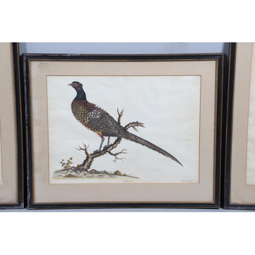 279 - WILLIAM HAYES (1729-1799). PHEASANT; BULLFINCHES. Two, etchings with hand colouring, each signed, ti... 