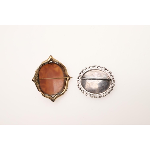 461 - A QUANTITY OF JEWELLERY. including a sapphire and diamond insect brooch, a carved shell cameo brooch... 