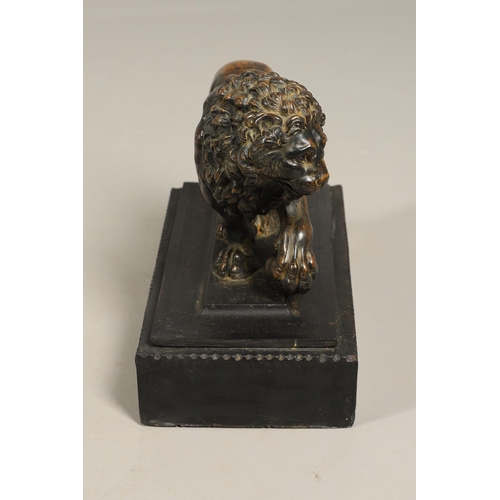882 - A GRAND TOUR BRONZE OF THE MEDICI LION. 18th/19th century, well worn brown patina, upon later ebonis... 