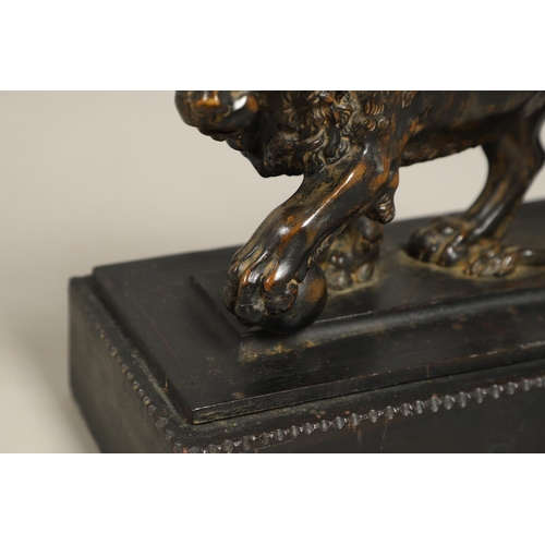 882 - A GRAND TOUR BRONZE OF THE MEDICI LION. 18th/19th century, well worn brown patina, upon later ebonis... 
