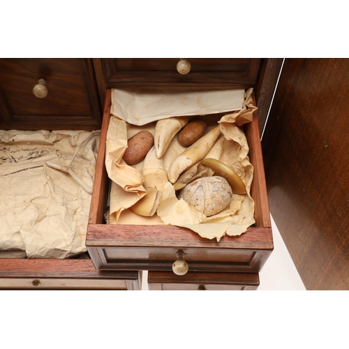 890 - A 19TH CENTURY WALNUT TABLE TOP COLLECTOR'S CABINET. the doors with brass sliding locks enclosing ni... 