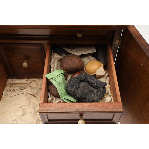 890 - A 19TH CENTURY WALNUT TABLE TOP COLLECTOR'S CABINET. the doors with brass sliding locks enclosing ni... 