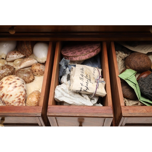 890 - A 19TH CENTURY WALNUT TABLE TOP COLLECTOR'S CABINET. the doors with brass sliding locks enclosing ni... 