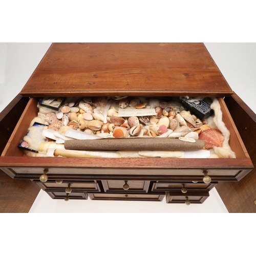 890 - A 19TH CENTURY WALNUT TABLE TOP COLLECTOR'S CABINET. the doors with brass sliding locks enclosing ni... 