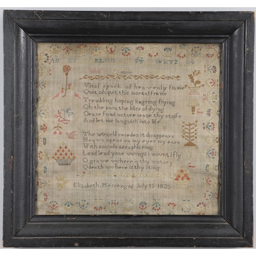 Lot 897       