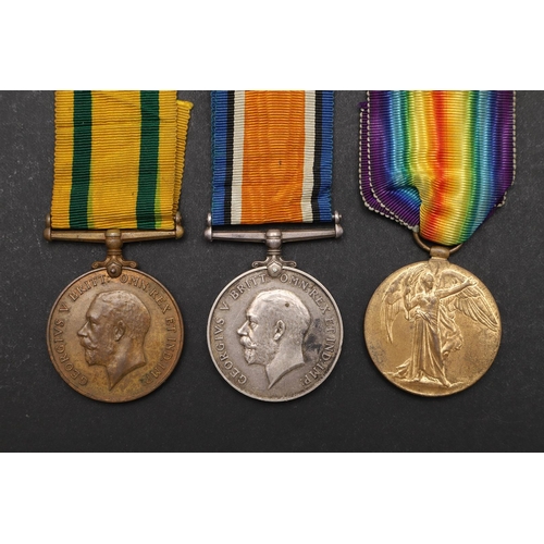 1414 - A FIRST WORLD WAR TERRITORIAL TRIO TO THE ROYAL ARMY MEDICAL CORPS, REGIMENTAL NUMBER 95. A Great Wa... 