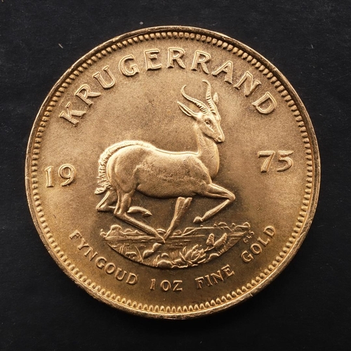 2010 - A SOUTH AFRICA GOLD KRUGERRAND, 1975. A Krugerrand, Reverse dated 1975 'Fyngoud 1 oz Fine Gold'.