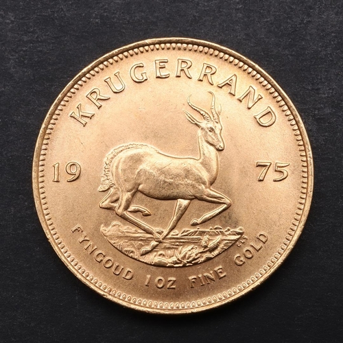 2011 - A SOUTH AFRICA GOLD KRUGERRAND, 1975. A Krugerrand, Reverse dated 1975 'Fyngoud 1 oz Fine Gold'.