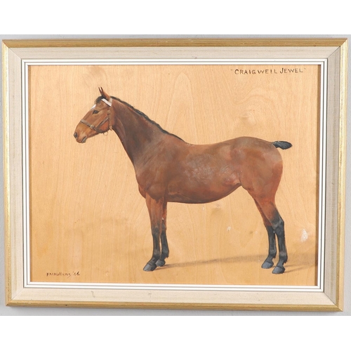 325 - FRANCES MABEL HOLLAMS (1877-1963). `CRAIGWELL JEWEL`, A BAY HORSE. (d) Signed and dated `46, inscrib... 