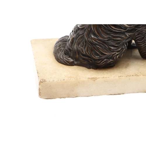 414 - A 19TH CENTURY BRONZE OF A SEATED SPANIEL WITH HINGED JAW. upon a hardstone base, height 16cm, width... 