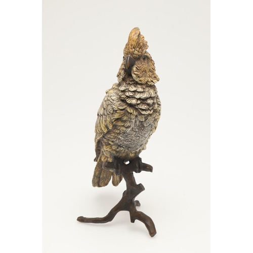 538 - COLD PAINTED BRONZE PARROT. In the manner of Franz Bergman, a cold painted model of a Parrot perched... 