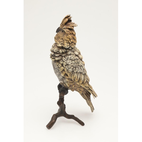 538 - COLD PAINTED BRONZE PARROT. In the manner of Franz Bergman, a cold painted model of a Parrot perched... 