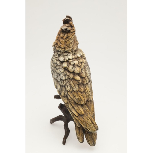 538 - COLD PAINTED BRONZE PARROT. In the manner of Franz Bergman, a cold painted model of a Parrot perched... 