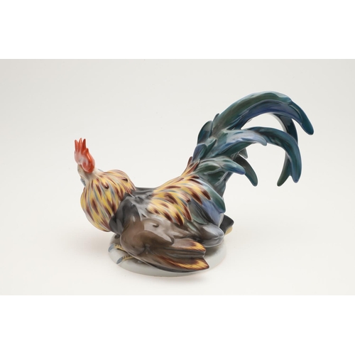 591 - ROSENTHAL PORCELAIN COCKEREL - FELDTMANN. A large porcelain model of a Cockerel, brightly painted an... 