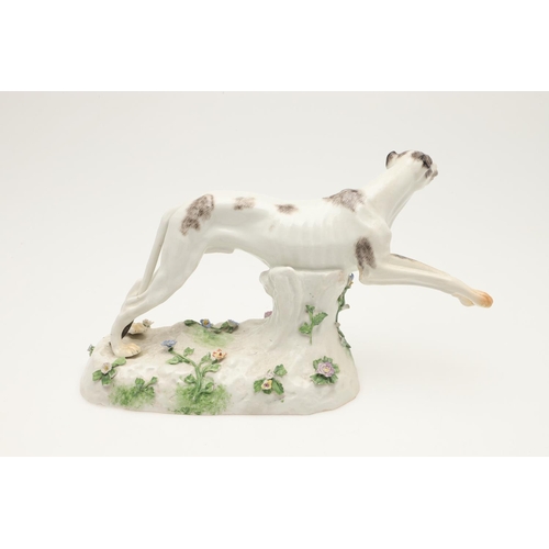 608 - MEISSEN STYLE PORCELAIN GREYHOUND. A Meissen style figure of a running Greyhound, the oval shaped ba... 