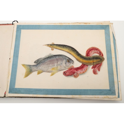 639 - CHINESE ALBUMS OF PITH PAINTINGS & JAPANESE PRINTS. Two cloth bound albums with a variety of pith pa... 