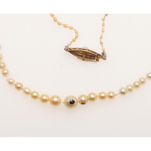 237 - A SINGLE ROW GRADUATED NATURAL PEARL NECKLACE. the pearls graduate from approximately 1.8 to 4.9mm t... 