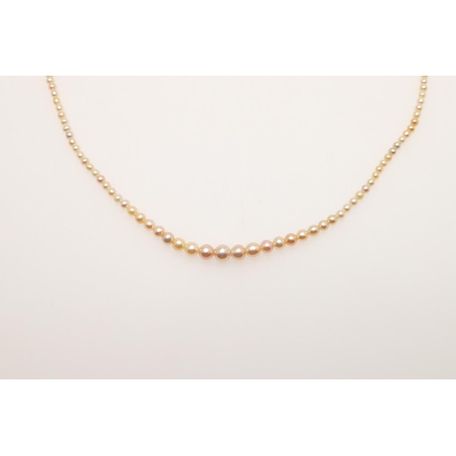 240 - A SINGLE ROW GRADUATED NATURAL PEARL NECKLACE. the one hundred and fifty eight pearls graduate from ... 