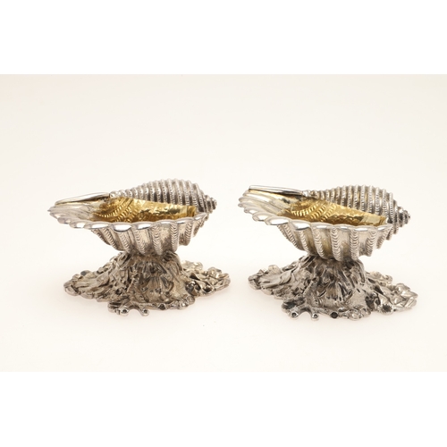 59 - A PAIR OF EARLY GEORGE IV SILVER SALTS IN THE FORM OF SEA SHELLS. On a cast naturalistic base, hallm... 