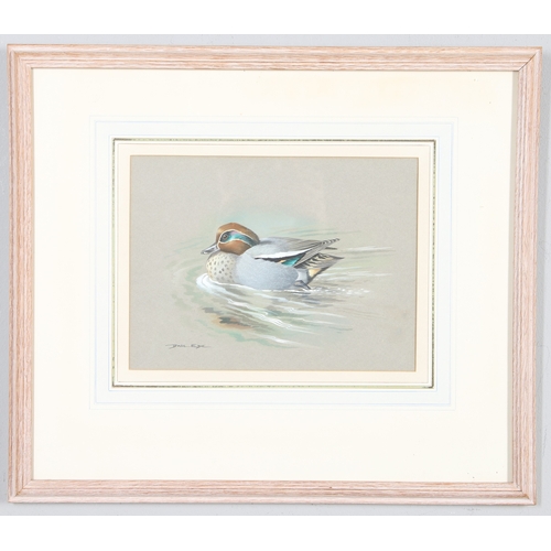 337 - BASIL EDE (1931-2016). TEAL. (d) Signed gouache on grey paper 
19.5cm x 26.5cm (43cm x 49cm includin... 