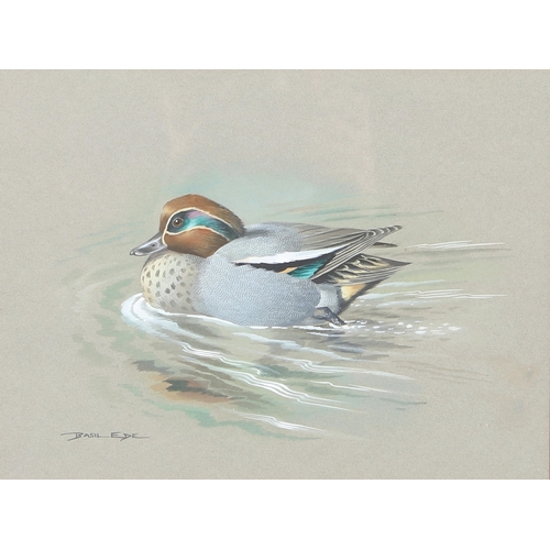 337 - BASIL EDE (1931-2016). TEAL. (d) Signed gouache on grey paper 
19.5cm x 26.5cm (43cm x 49cm includin... 