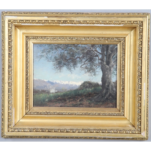 367 - MARGARET CAMPBELL MACPHERSON (1860-1931). 'NEAR MENTONE'. Signed and also inscribed on the artist's ... 