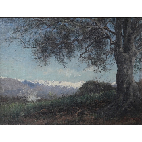 367 - MARGARET CAMPBELL MACPHERSON (1860-1931). 'NEAR MENTONE'. Signed and also inscribed on the artist's ... 