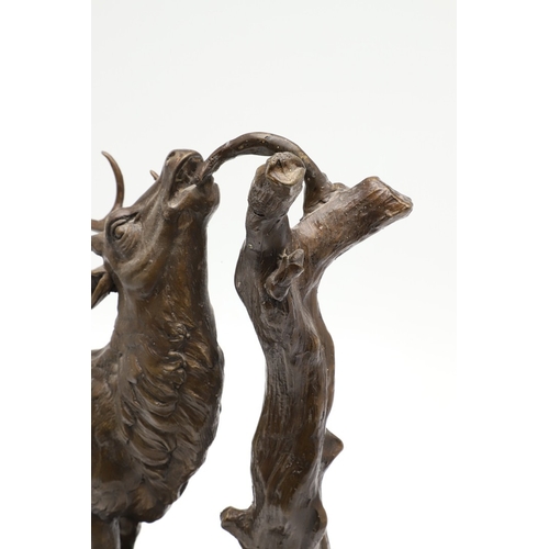 419 - AFTER PIERRE JULES MENE, EARLY 20TH CENTURY PATINATED BRONZE OF A STAG. modelled to a naturalistic b... 