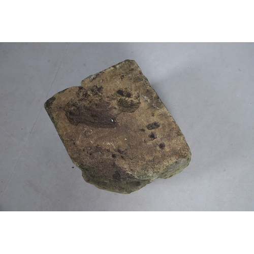 554 - A MEDIEVAL STONE CORBEL. possibly 15th century, carved with a head of a curly haired man, height 22c... 