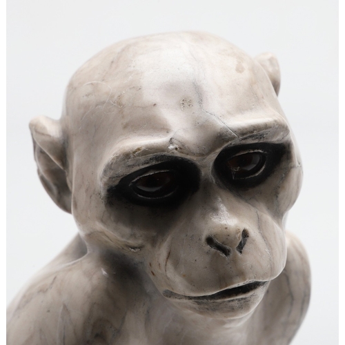 585 - SIGNED MARBLE SCULPTURE OF A RHESUS MONKEY. In the manner of Wilhelm Krieger, a carved marble figure... 
