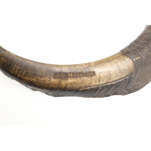 69 - AN INTERESTING 'MER DE GLACE' POWDER HORN. A powder horn made from the horn of a large male Ibex, st... 