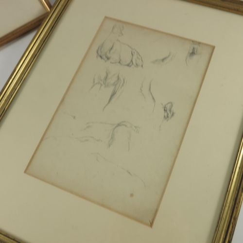 1508 - PENCIL STUDY OF MICE LABELLED VERSO MARGARET TARRANT APPROX 21.5 X 14 AND A PENCIL STUDY RECUMBENT D... 